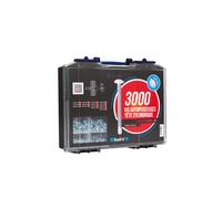 SCELL-IT Coffret de vis autoperceuses COF003-TCC 3000 pcs - tête cylindrique, empreinte cruciforme