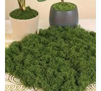 300g/10,58oz 100g/40g Pelouse de mousse simulée, micro-paysage de mousse artificielle, pelouse de plantes vertes, plantes en pot pour décoration de fenêtre, design de paysage 40g,300 grammes,100g,350 