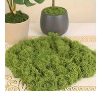 300g/10,58oz 40g/30g Gazon en mousse simulé, aménagement paysager de micro-paysage en mousse artificielle, pelouse de plante verte, décoration de fenêtre de plante en pot 30g,40g,300 grammesPolystyrèn