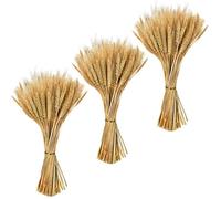 300pcs Fleurs De Blé Séchées Naturel Bouquet Fleurs Séchées Épis de Blés Decoration Tige pour Maison Table Automne et Mariage (40cm)