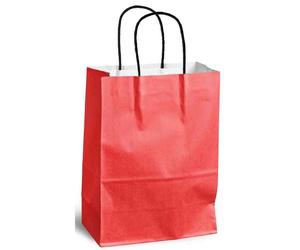 [30108501-10] MAILmedia Lot de 10 Sacs à Poignées Torsadées Kraft 90g Taille ...