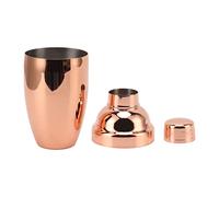 304 Stainless Steel Cocktail Shaker | 18 oz Bartender Kit | Home (Rose Gold)