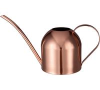 32oz/1L Arrosoir d'intérieur en acier inoxydable avec long bec pour plantes d'intérieur - or rose