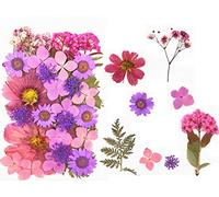 33pcs Fleurs séchées pressées feuilles vraies bougies de bricolage naturel décoratifs en résine bijoux pendentifs de téléphone d'ongle maquillage du visage pétales de fleurs décoratives mixtes