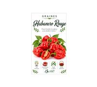 35 graines de piment habanero rouge -Capsicum -Habanero Red hot - Piment antillais rouge - un des piments les plus aiguisés