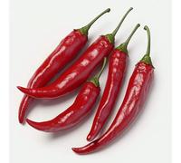 35 Graines de Piment Kashmiri - SemiSauvage Permaculture