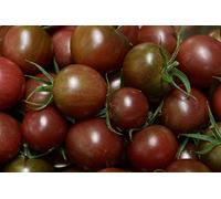 35 Graines de Tomate Cerise Black Cherry - légumes semis potager - méthode BIO