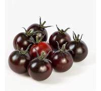 35 Graines de Tomate Cerise Black Cherry - SemiSauvage Permaculture