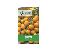 35 Graines de Tomate Cerise Ola Polka Précoce & Productive | Petits Fruits Jaunes Doux | Culture Facile Balcon