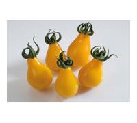35 Graines De Tomate Cerise Poire Jaune