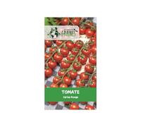 35 graines de tomate cerise rouge - tomato solanum lycopersicum - Cultivez Vos Apéros !