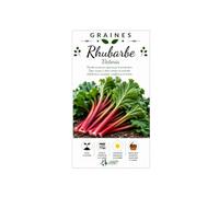 35 graines Rhubarbe Victoria - parfait pour les compotes, les tartes et les confitures
