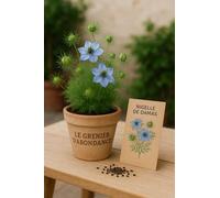 350 graines à semer - Le Grenier d'Abondance - Nigelle de Damas - Nigella damascena