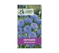 350 graines Centaurée cyanus Double Midget - bleuet