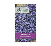 350 graines d'aubrieta bleu cascade (aubrieta deltoidea) tapis de fleurs vivace bleu violet - rampant