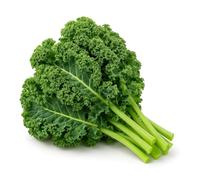 350 Graines de Chou Kale Demi-Nain (Brassica oleracea colvar var sabellica) - SemiSauvage Permaculture - graines reproductibles