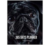 365 Days Planner: 2021 Daily Planner Perfect For Keeping Track Of Notes, Priorities And To Do List , 365 Pages, 8x10, Soft Cover, Matte Finish