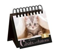 365 Jours Chats Et Chatons