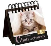 365 jours Chats et chatons - Calendrier Géo Play Bac Éditions (Auteur)