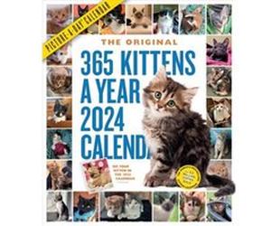 365 KittensAYear PictureADay Wall Calendar 2024 by Workman Calendars Workman Calendars (Auteur)