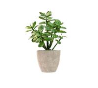 365 Plante Artificielle en Pot de Jade 30,5 cm, Plante succulente de Luxe pour décoration d'intérieur, Bureau, Arbre à Argent, Fausses Plantes d'intérieur Crassula ovata