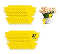 37 Pièges à Insectes, Anti Moucherons Interieur, lutte antiparasitaire sans insecticide, stickers jaunes, piège à mouches ultra-efficace, piège à mouches des fruits pour