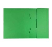 Leitz Chemise-trieur A4 Carton 430 g/m2 Vert