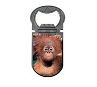 3D LiveLife Décapsuleur - Bébé orang-outan de Deluxebase Décapsuleur magnétique avec image lenticulaire 3D Cadeau pour accessoires de cuisine et de bar