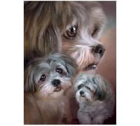 3D LiveLife Impression murale lenticulaire - Lhassa Apso de Deluxebase. Poster 3D sans cadre pour un remplissage mural parfait.
