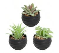 3pièces Plantes succulentes artificielles mini, succulentes vertes, pots blancs & noirs, matériau PE, plantes artificielles, succulentes artificielles, décoration de bureau, décoration de maison, déco