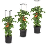 3x Plante de tomate en plastique Set de 3 pots de plantation 28 L, cultivateur de tomates, pot de tomates, cache-pot, légumes, tomates Laver