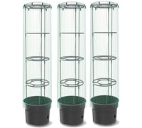 3x Plante de tomates avec couvercle et film plastique Plante de tomates avec couvercle et film plastique Plante de tomates avec couvercle et film plastique Plante de tomates avec couvercle et film pla