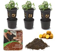 3x Pot de pommes de terre 12 L, pot de fleurs, pot de plantes pour la culture de légumes + Terreau universel 30 L Substrat 4 en 1 avec micro-organismes pour légumes