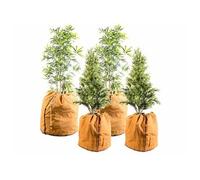 : 4 housses d'hivernage pour plantes au format normal et XL