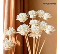 40/10 pièces Ensemble combiné de bâtons diffuseurs et fleurs en mousse blanche, bâtons diffuseurs d'aromathérapie en mousse, bâtons de volatilisation d'huiles essentielles en fibre, accessoires de déc