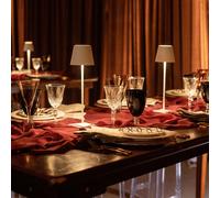 40 lampes POLDINA PRO ZAFFERANO PROMO