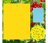 40 Pièces Pièges à Insectes,Plaques Collants Double Face,Piège à Insecte | Jaune Mouche Piège DoubleFace,Feuilles Jaunes Anti-Insectes Efficaces,Papier Adhésif Double Face Contre Les Nuisibles