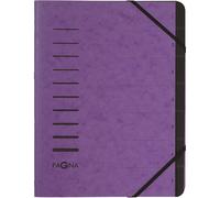 [40058-10] PAGNA Trieur "Sorting File" 7 compartiments Aubergine