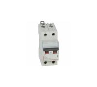 407786 Disjoncteur Bipolaire 25a - 2p Courbe C - 6/10ka - à Vis - Legrand Dx3