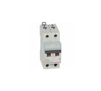 Legrand Disjoncteur bipolaire DX3 407789 - 2P 50 A Courbe C 6/10 kA à vis