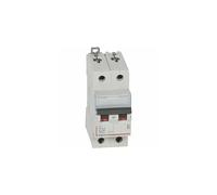 408018 Disjoncteur Bipolaire 32a - 2p Courbe D - 6/10ka - à Vis - Legrand Dx3