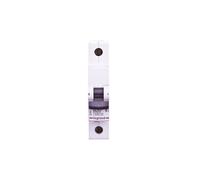 419137 SRX3 S301 Disjoncteur 1P B 20A 6kA AC