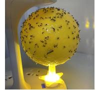 4pcs Boules collantes Anti-Mouches des Fruits,capteur de Mouches fruitiers Piège Collant, Fruit Fly Trap, Boule Collante Mouche
