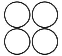 4pcs pour R172009 Joint Torique pour Modèle 300/320 Couvercle de Chlorinateur de Piscine et Spa, Joint Torique de Chlorinateur de Piscine
