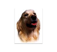 4R Quattroerre.it Adhésif Golden Retriever, 14 x 16 cm