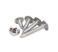 5-200 pièces M2-M6 acier inoxydable empreinte cruciforme tête bombée vis autotaraudeuses, M5x20mm(25 pièces)