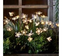 5 Balises Solaires Papillons, Abeilles et Fleurs