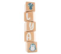5 Cubes 5x5cm + 66 Stickers Blancs