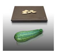 5 graines à semer - Le Grenier d'Abondance - COURGETTE Grisette de Provence - Curcubita Pepo