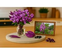 5 Graines de Haricot Jacinthe - Plante grimpante ROSE Tropicale - Dolichos Lablab - Fleur Jardin - 399.